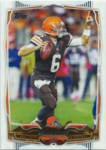 Brian Hoyer 2014 Topps #82 football card